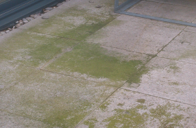 Groene aanslag van je terras verwijderen