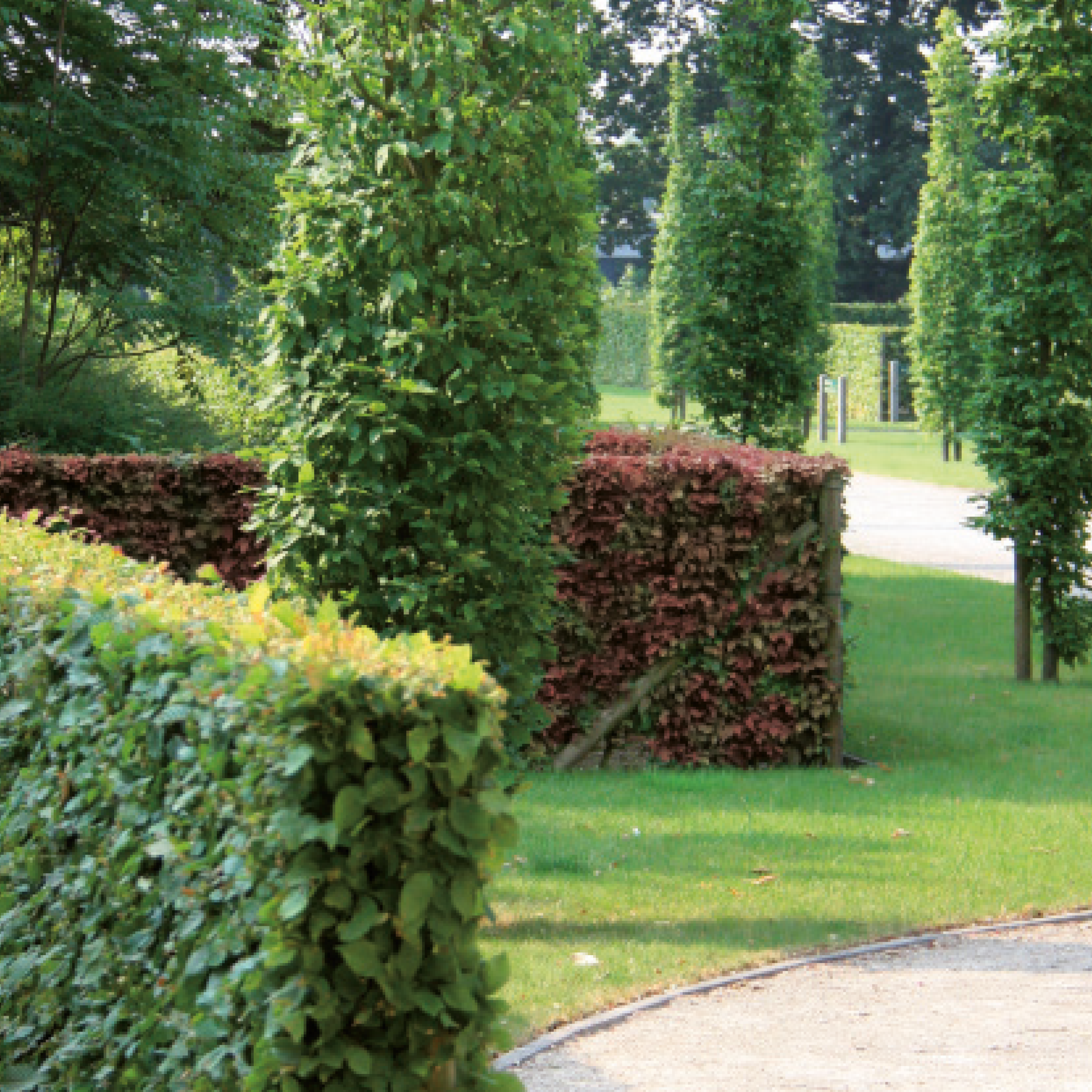 EcoShield | Bladinsecten Ecopur 10 ml image