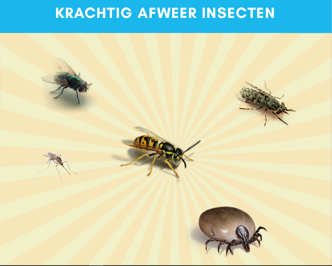 insectfree - krachtig afweer insecten